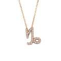 Zodiac Sternzeichen-Anhänger Halskette Roségold Steinbock