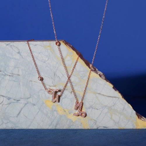 Zodiac Sternzeichen-Anhänger Halskette Roségold Steinbock