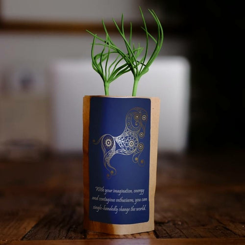 Widder Sternzeichen Baumgeschenk, wir pflanzen 1 weiteren Baum