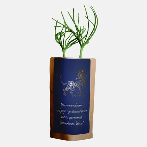 Baumgeschenk für das Sternzeichen Löwe – Wir pflanzen einen weiteren Baum