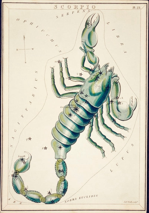 Skorpion von Sidney Prior Hall Astrologie Giclée-Leinwanddruck