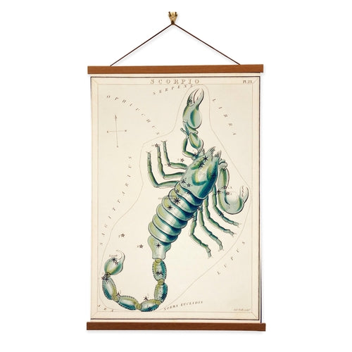 Skorpion von Sidney Prior Hall Astrologie Giclée-Leinwanddruck