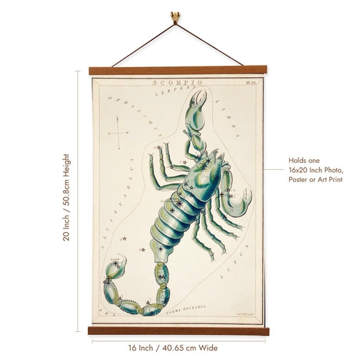 Skorpion von Sidney Prior Hall Astrologie Giclée-Leinwanddruck