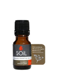 Ätherisches Bio-Fenchelöl (Foeniculum Vulgaris) 10ml