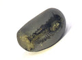 Shaligram Stein Lakshmi-Narsimha | Nepal Gandaki Fluss Chakra Saligram