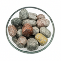 Polished Fossil Coral Stones – Natural Crystal Display in Glass Bowl