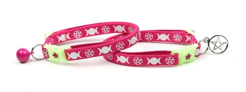 Witch's Familiar on Pink Cat Collar